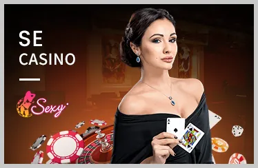 Baccarat VIP